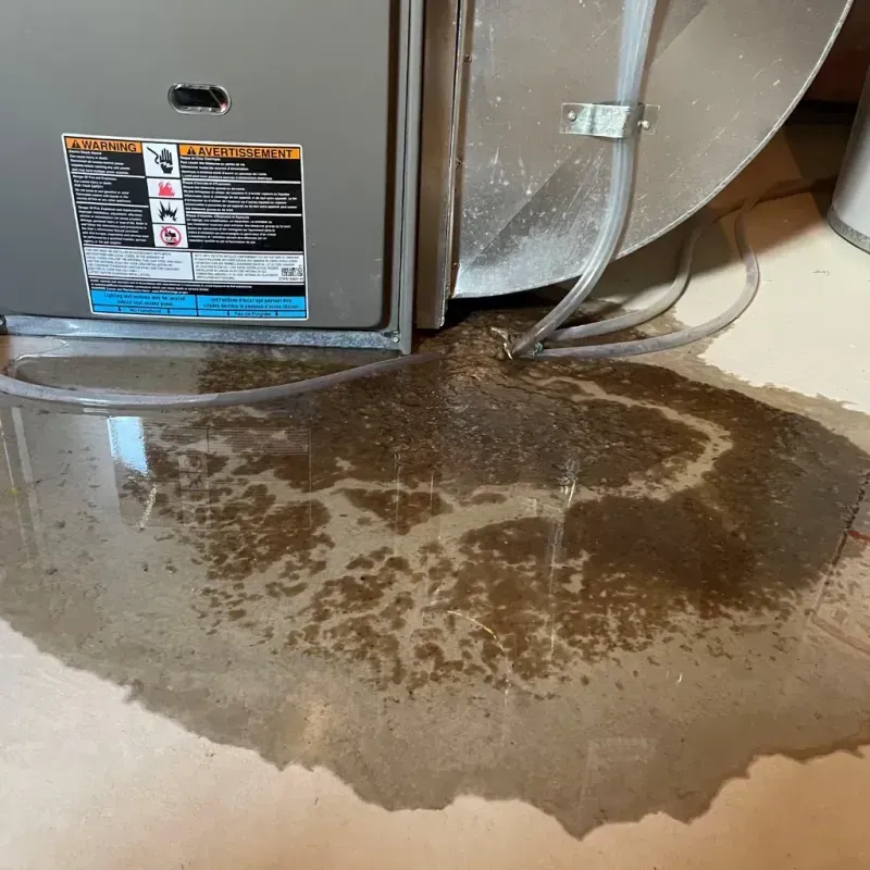 Appliance Leak Cleanup in Whitley County, KY